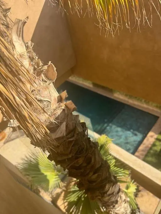 Sublime Villa Avec Ascenseur Piscine Chauffee 마라케시 모로코